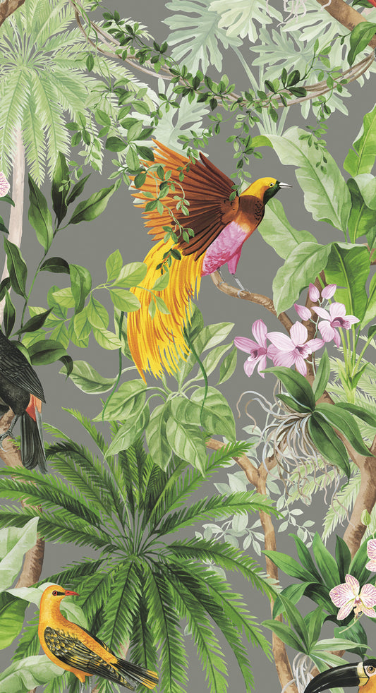 HG10908 Harry & Grace Harry & Grace Peel and Stick Wallpaper Tropical Bird Grey