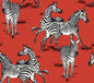 HG11101 Harry & Grace Harry & Grace Peel and Stick Wallpaper Playful Zebras Red