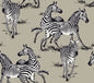 HG11110 Harry & Grace Harry & Grace Peel and Stick Wallpaper Playful Zebras Pavestone
