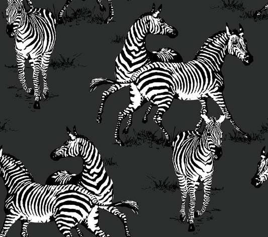 HG11120 Harry & Grace Harry & Grace Peel and Stick Wallpaper Playful Zebras Charcoal