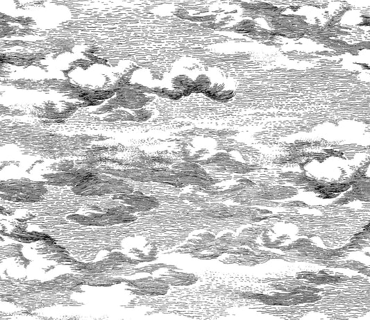 HG11200 Harry & Grace Harry & Grace Peel and Stick Wallpaper Clouds Black