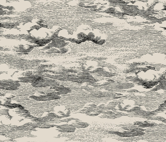 HG11210 Harry & Grace Harry & Grace Peel and Stick Wallpaper Clouds Beige & Black