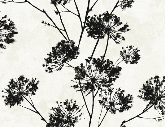 HG12100 Harry & Grace Harry & Grace Peel and Stick Wallpaper Dandelion Floral Ebony