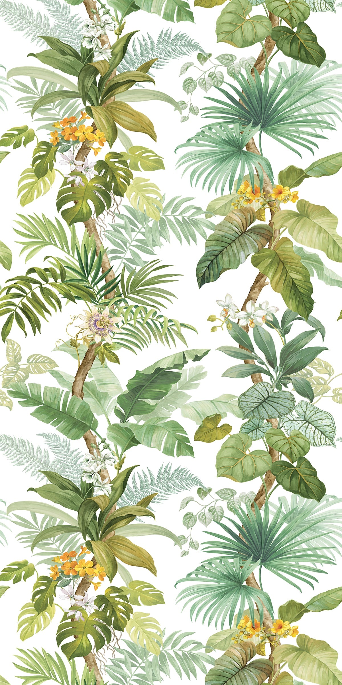HG12304M Harry & Grace Harry & Grace Peel and Stick Wallpaper Tropical Leaf Trail Mural Greenery