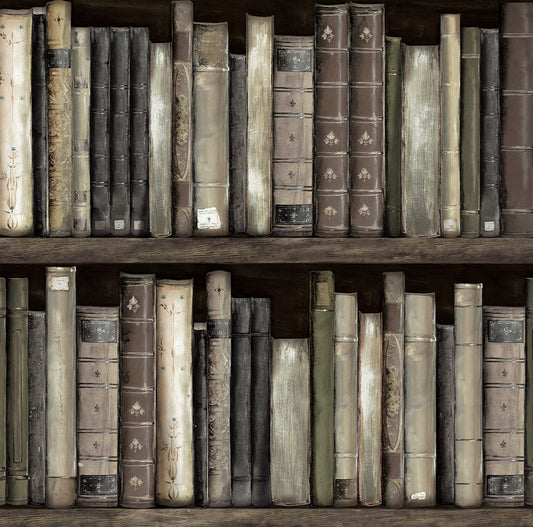 HG13200 Harry & Grace Harry & Grace Peel and Stick Wallpaper Faux Bookshelves Shale