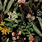 HG13900 Harry & Grace Harry & Grace Peel and Stick Wallpaper Panther Jungle Onyx