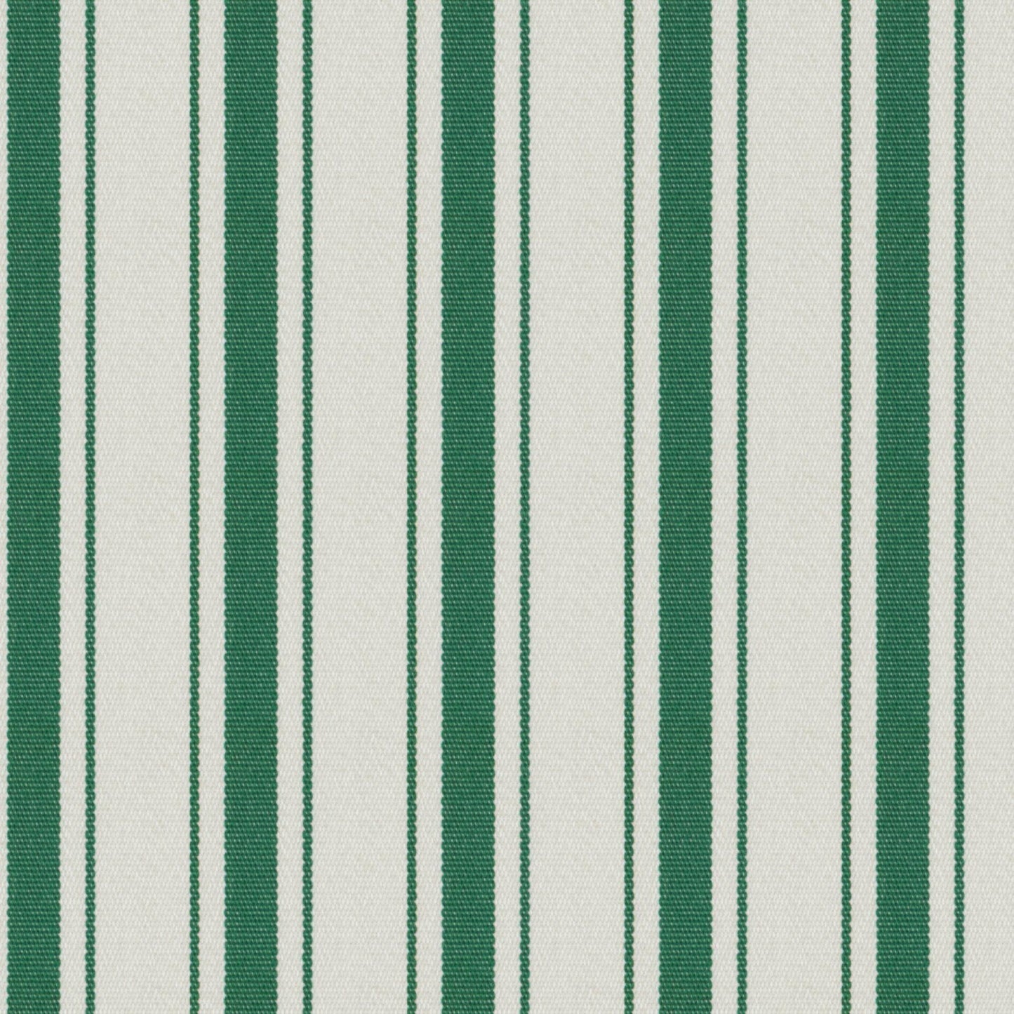HK8648 Maxwell INDOOR/OUTDOOR # 648 BASIL HG-ACTVIII