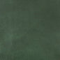Henry Pine Plain,Sheen Green Charlotte Fabrics Genuine Leather