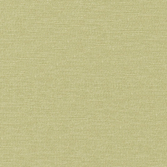 I08808 Maxwell CHENILLES SOLIDS/TEXTURES # 808 PEAR CURLEDUPVIII