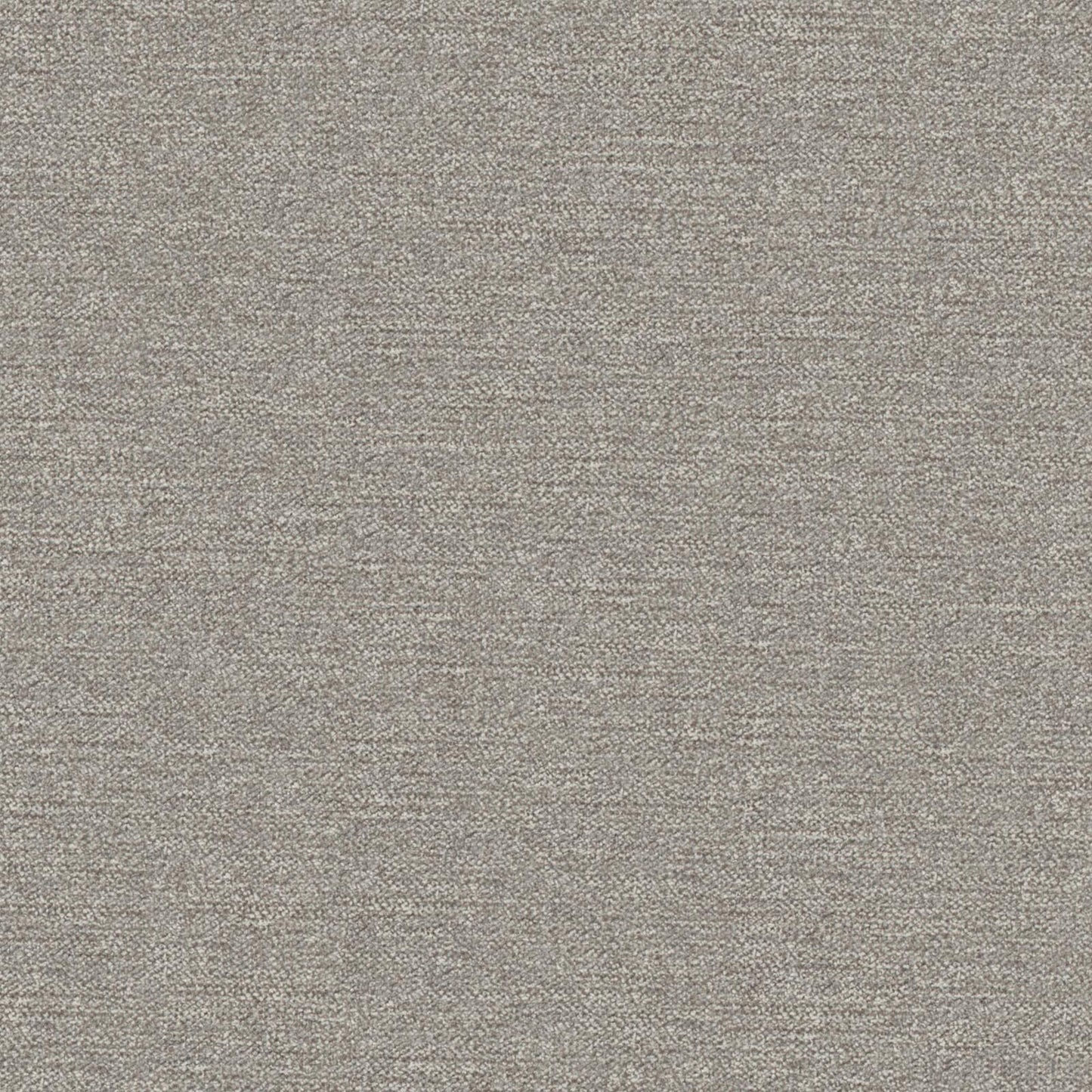 I08906 Maxwell CHENILLES SOLIDS/TEXTURES # 906 SHARK CURLEDUPVIII