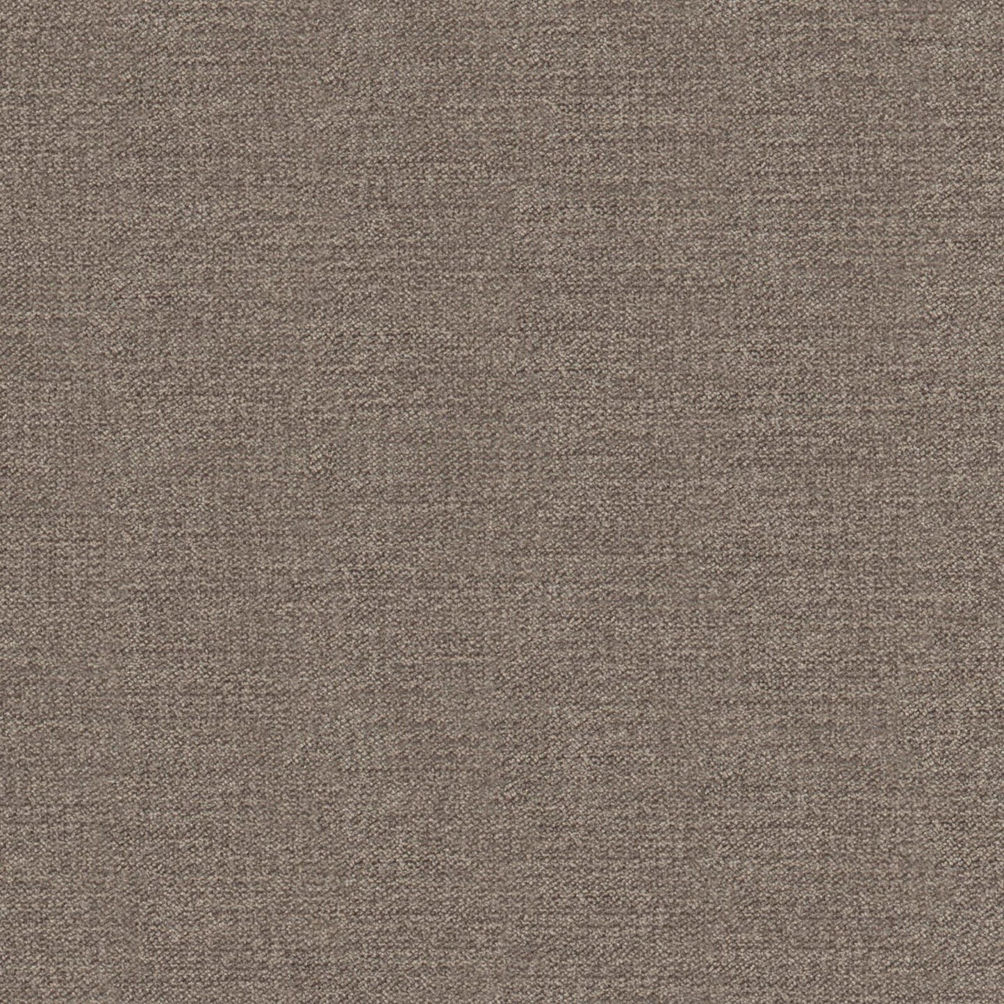 I08908 Maxwell CHENILLES SOLIDS/TEXTURES # 908 MINK CURLEDUPVIII