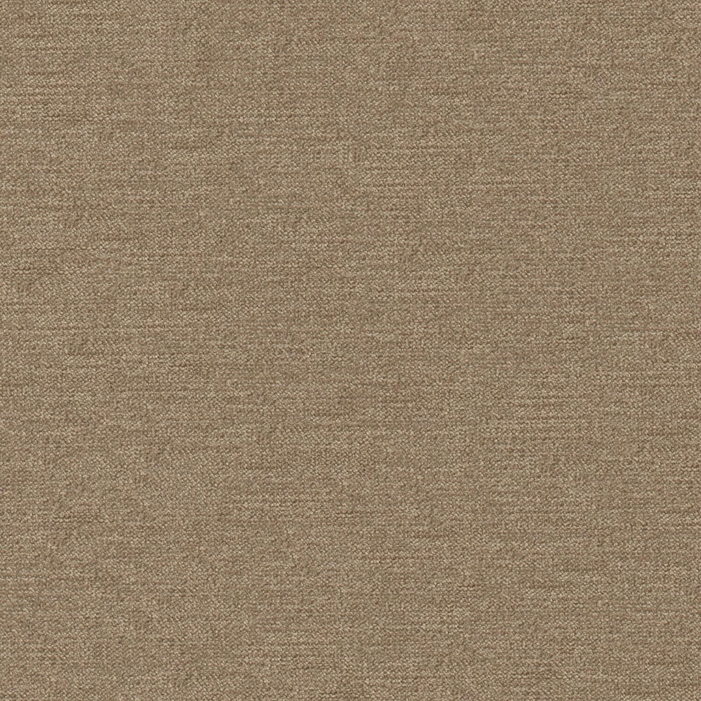 I08912 Maxwell CHENILLES SOLIDS/TEXTURES # 912 SPARROW CURLEDUPVIII