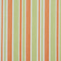 I9000-23 Stripe nan Green,Orange & Rust Charlotte Fabrics