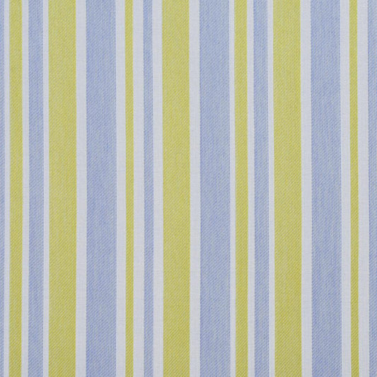 I9000-24 Stripe nan Blue,Green Charlotte Fabrics