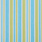 I9000-25 Stripe nan Blue,Green Charlotte Fabrics