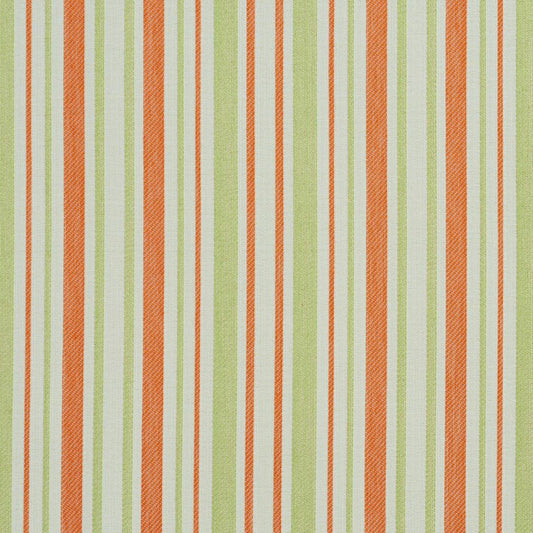 I9000-31 Stripe nan Green,Orange & Rust Charlotte Fabrics