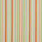 I9000-31 Stripe nan Green,Orange & Rust Charlotte Fabrics