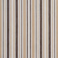 I9000-34 Stripe nan Brown Charlotte Fabrics