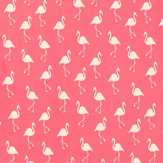 I9000-36 Novelty nan Pink Charlotte Fabrics