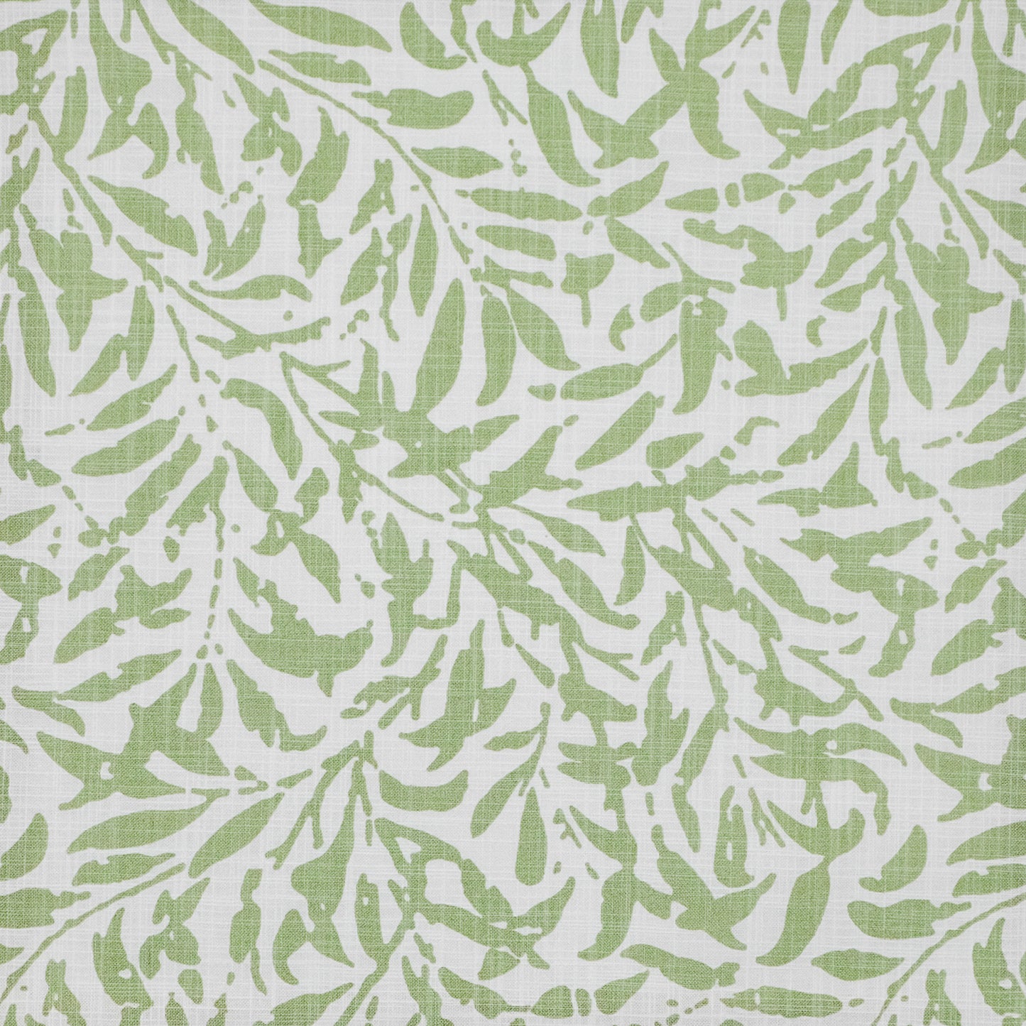 IA6505 Maxwell PRINTS # 505 CELERY PRINTGALLERYII