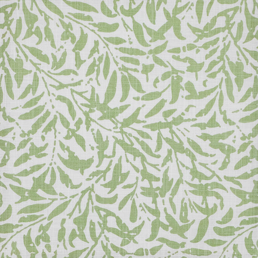 IA6505 Maxwell PRINTS # 505 CELERY PRINTGALLERYII