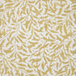 IA6516 Maxwell PRINTS # 516 BUTTERCUP PRINTGALLERYII