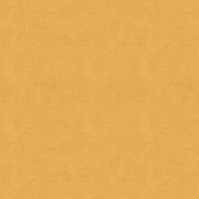 IMPACT-116 IMPACT SAND KRAVET COUTURE UPHOLSTERY