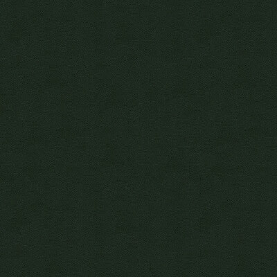 IMPACT-3 IMPACT FOREST KRAVET COUTURE UPHOLSTERY