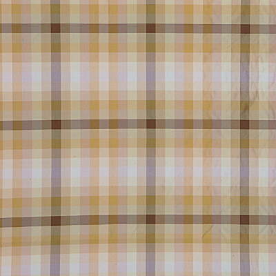 J0507-170 ASCOT CHECK NATURAL G P & J BAKER DRAPERY