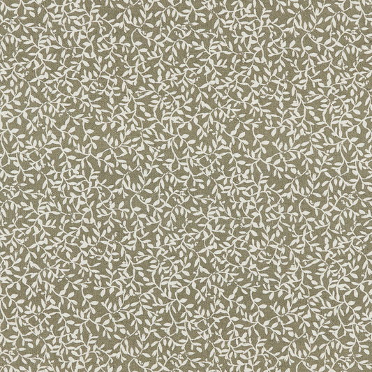 JA8510 Maxwell PRINTS # 510 OREGANO PRINTGALLERYIII