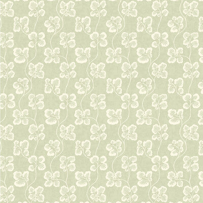 JMW1024-31 CABBAGE CHECK 31 KRAVET COUTURE Wallpaper