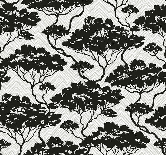 JP11700 Seabrook Designs Japandi Style Wallpaper Nara Stringcloth Onyx & Fog