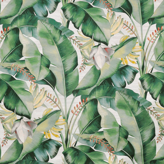 K94521 Maxwell PRINTS # 521 ALOE PRINTGALLERY