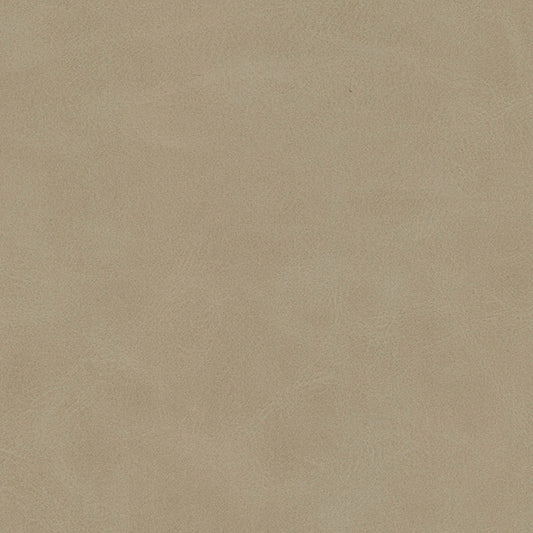 K96829 Maxwell FABRIC # 829 MOREL MO-COATEDFABRICS