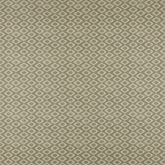 KA0508 Maxwell PRINTS # 508 FERN PRINTGALLERYIII