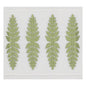 KAIL-3 STOUT KAILUA TAPE 3 MOSS MOSS TRIMMING