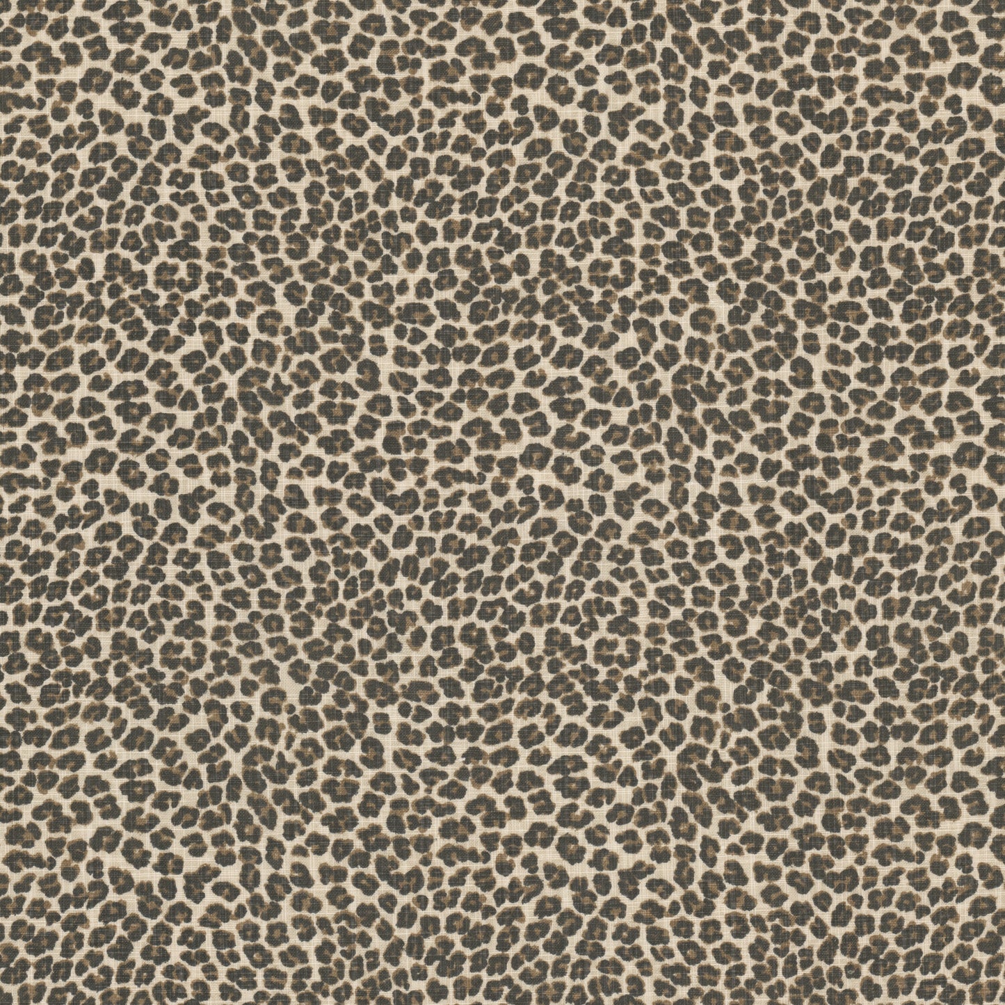 KENYA Stout Multi-Purpose