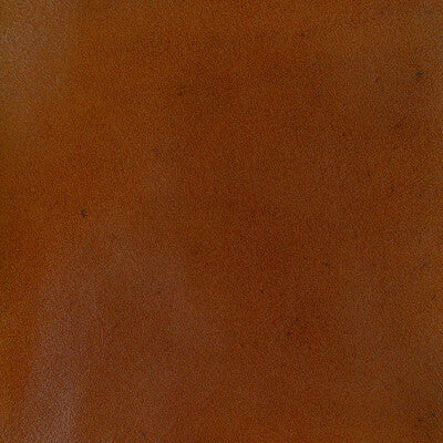 L-ADOBE-OCHRE KRAVET DESIGN L-ADOBE-OCHRE KRAVET DESIGN UPHOLSTERY