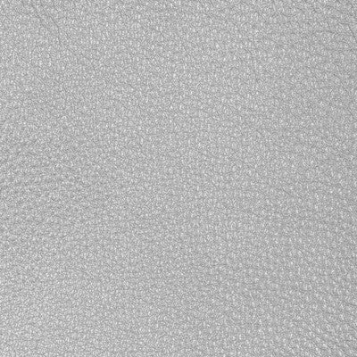 L-CONCHAS-SILVER KRAVET DESIGN L-CONCHAS-SILVER KRAVET DESIGN UPHOLSTERY