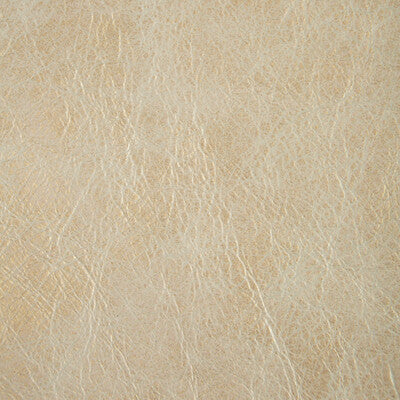 L-GILDED-PLATINUM L-GILDED PLATINUM KRAVET COUTURE UPHOLSTERY