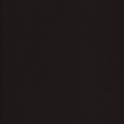 L-HOWDY-CAPPUCCINO KRAVET DESIGN L-HOWDY-CAPPUCCINO KRAVET DESIGN UPHOLSTERY