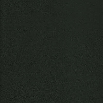 L-HOWDY-EVERGREEN KRAVET DESIGN L-HOWDY-EVERGREEN KRAVET DESIGN UPHOLSTERY