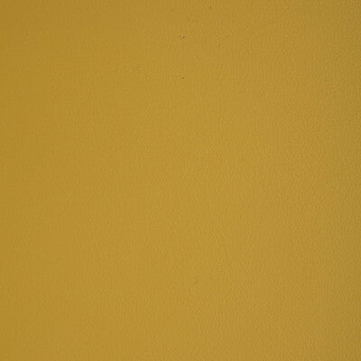 L-HOWDY-SUNSHINE KRAVET DESIGN L-HOWDY-SUNSHINE KRAVET DESIGN UPHOLSTERY