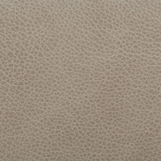 L85003 Coraggio Carrera Fabric