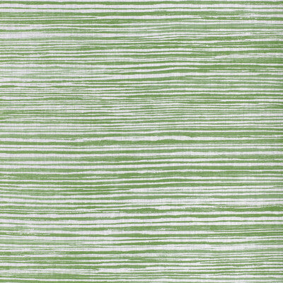LANDLINES-30 LANDLINES GRASS KRAVET BASICS Fabrics Drapery Upholstery