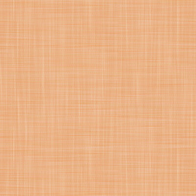 LCW1040-003 MAHON CALABAZA GASTON Y DANIELA Wallpaper