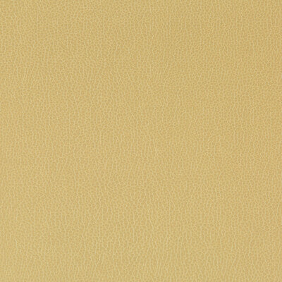 LENOX-23 LENOX SESAME KRAVET CONTRACT UPHOLSTERY