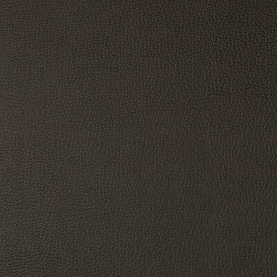 LENOX-66 LENOX JAVA KRAVET CONTRACT UPHOLSTERY