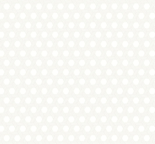 LN10200 Lillian August Luxe Retreat Wallpaper Cabana Wicker Gray and Eggshell