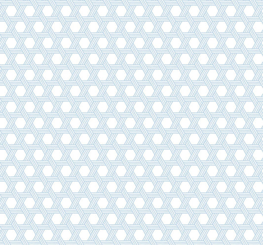 LN10202 Lillian August Luxe Retreat Wallpaper Cabana Wicker Carolina Blue and Eggshell